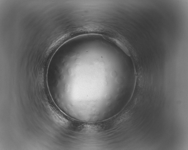 X0000077280442200610271503