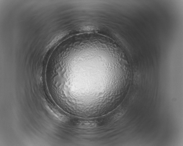 X0000077280443200610271503