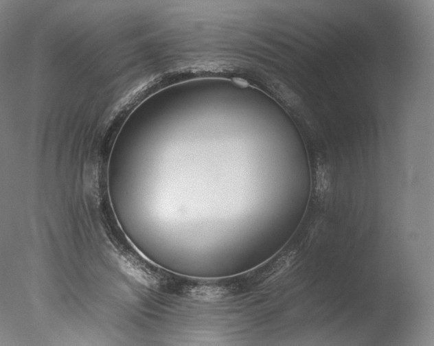 X0000077280444200610271503