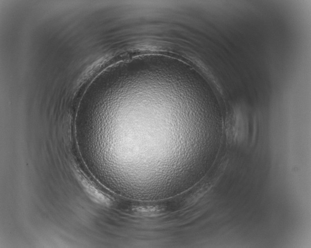 X0000077280445200610271503