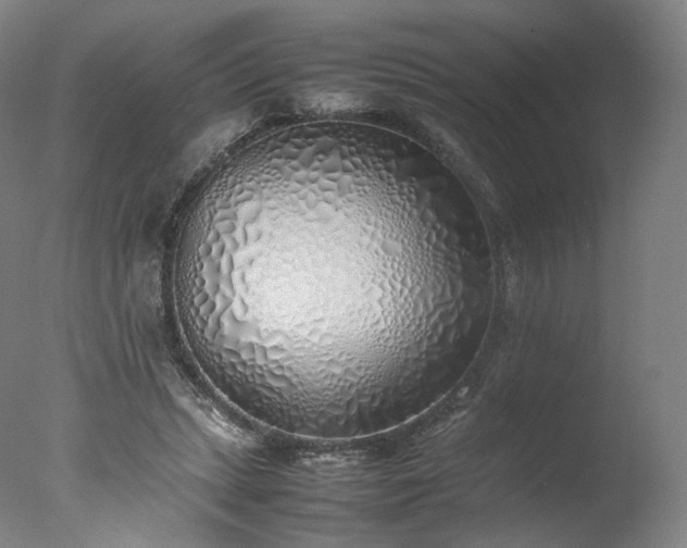 X0000077280447200610271503