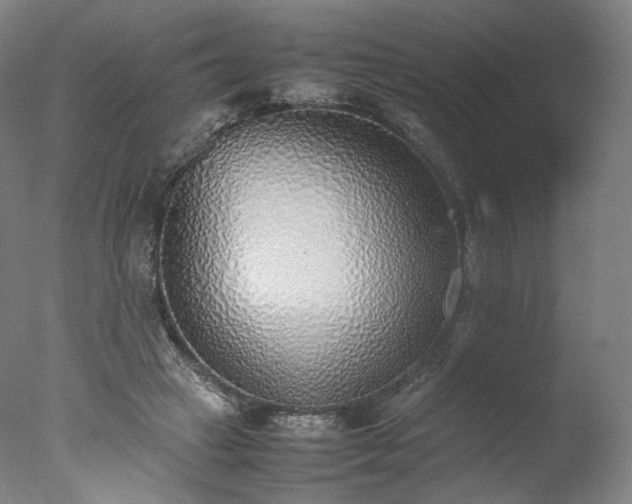 X0000077280449200610271503