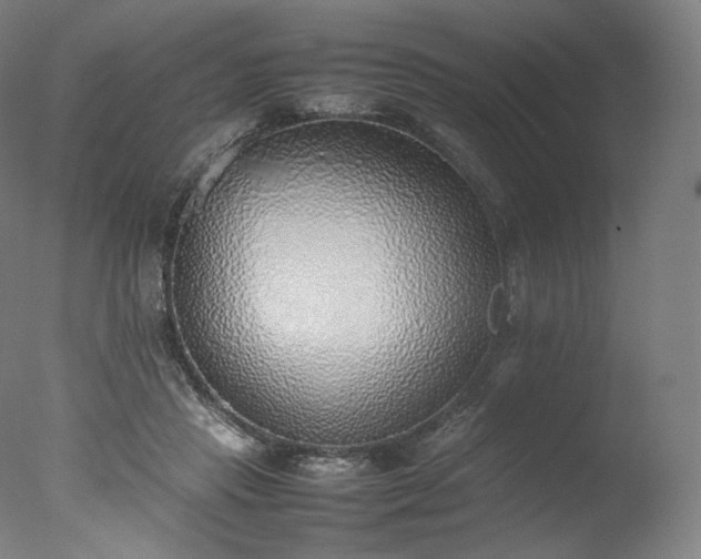 X0000077280453200610271503