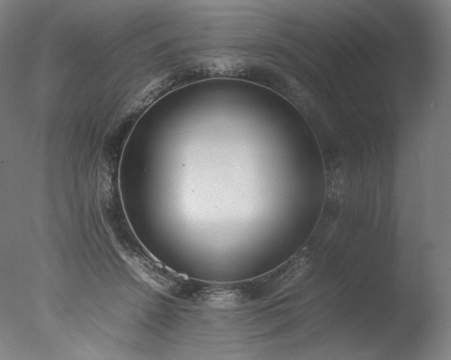 X0000077280456200610271503
