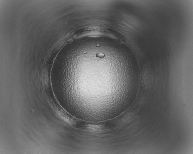X0000077280457200610271503