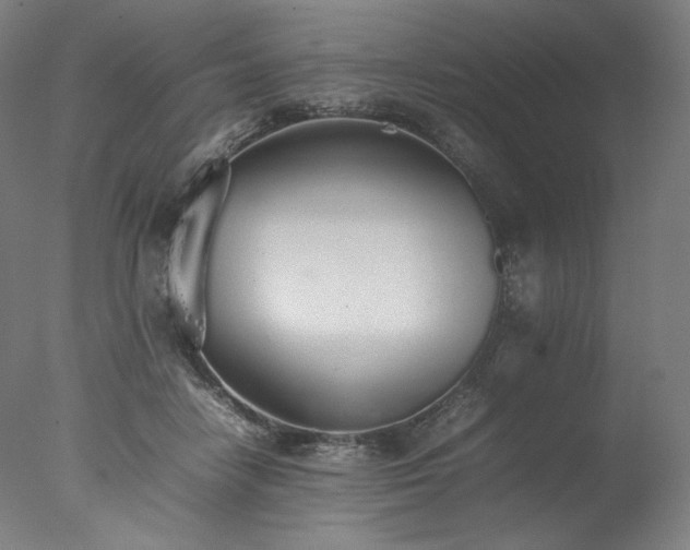 X0000077280458200610271503