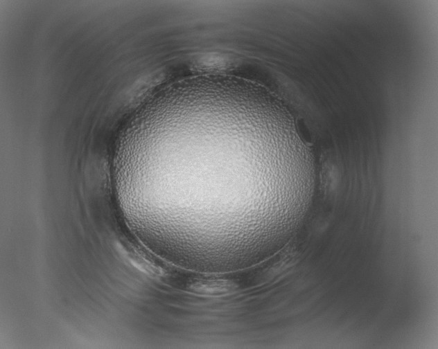 X0000077280459200610271503