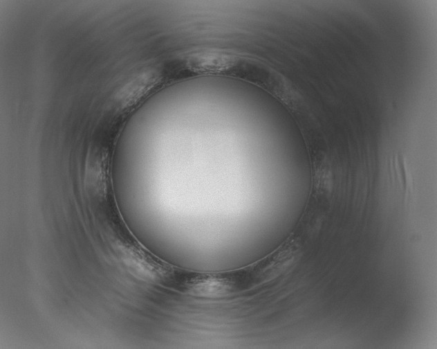 X0000077280460200610271503