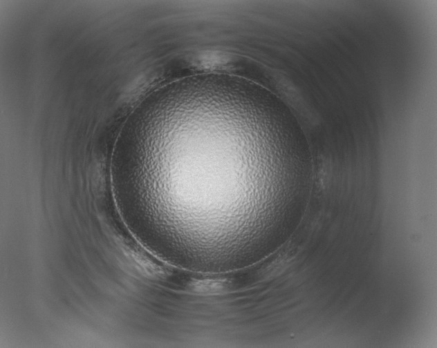 X0000077280461200610271503