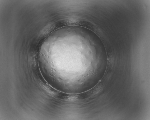 X0000077280462200610271503