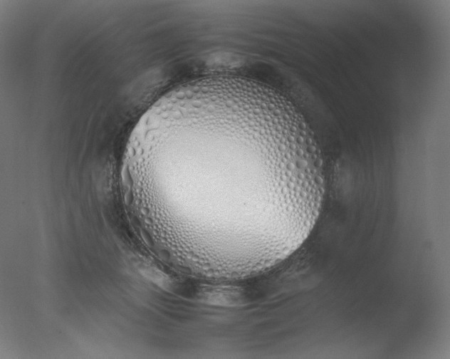 X0000077280463200610271503
