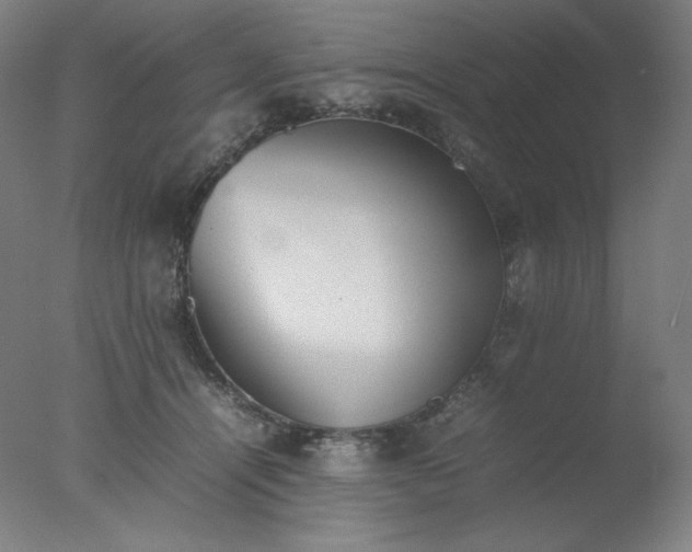 X0000077280464200610271503