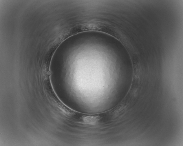 X0000077280465200610271503