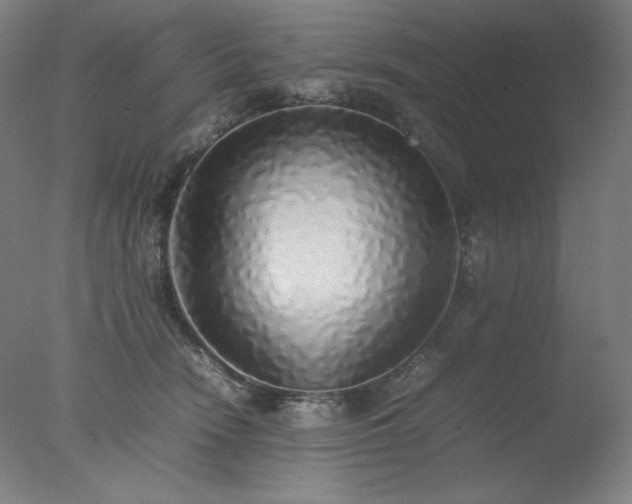 X0000077280466200610271503