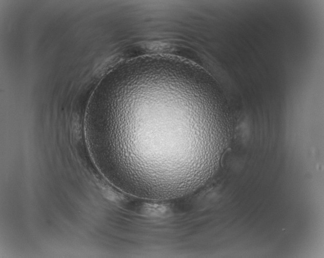 X0000077280469200610271503