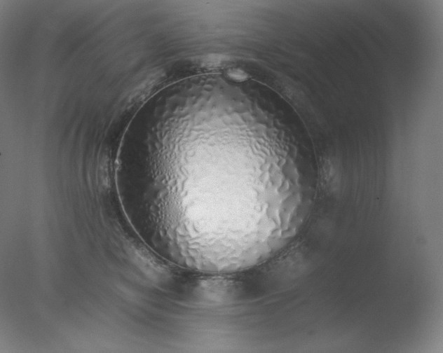 X0000077280470200610271503