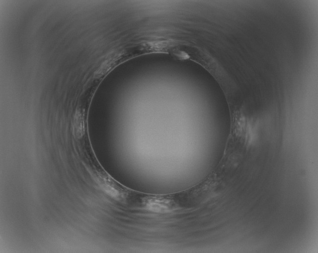 X0000077280471200610271503