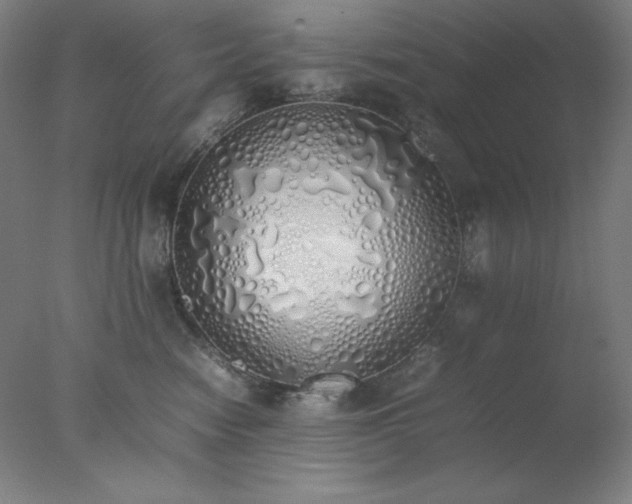 X0000077280474200610271503