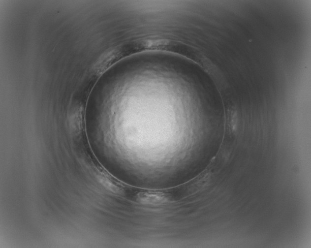 X0000077280475200610271503