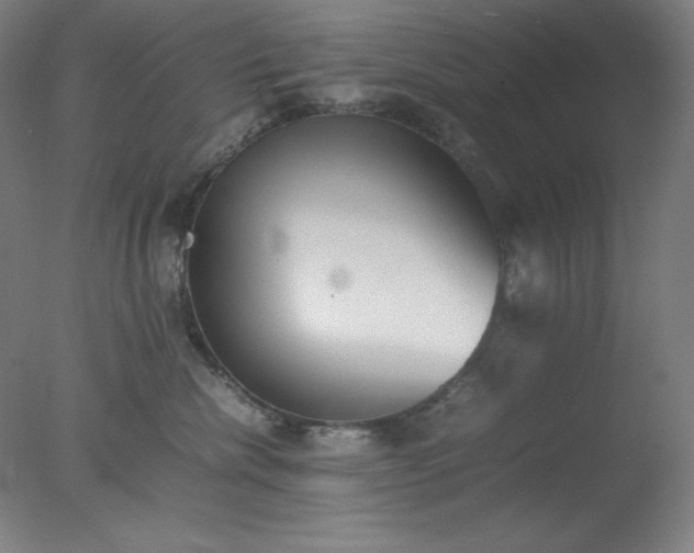 X0000077280476200610271503