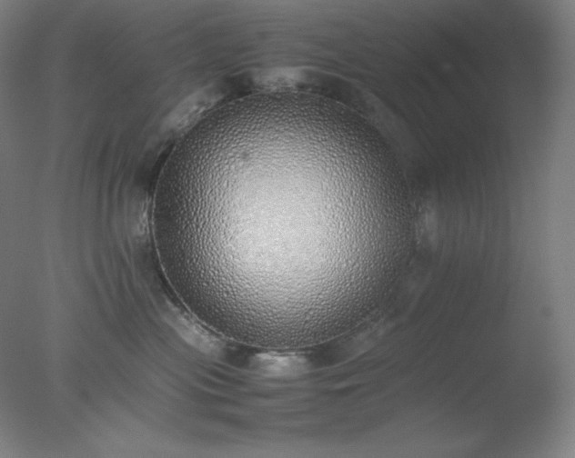 X0000077280477200610271503