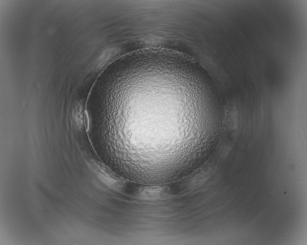 X0000077280479200610271503