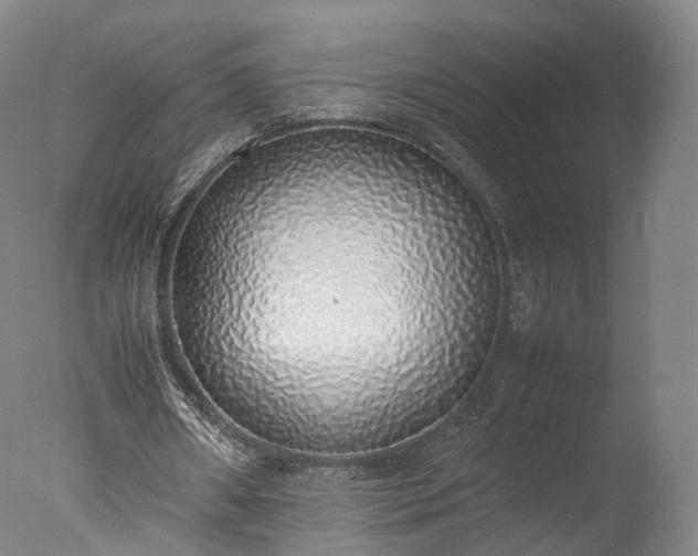 X0000077280482200610271502