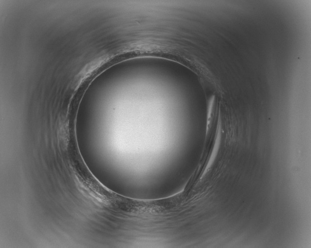X0000077280488200610271502