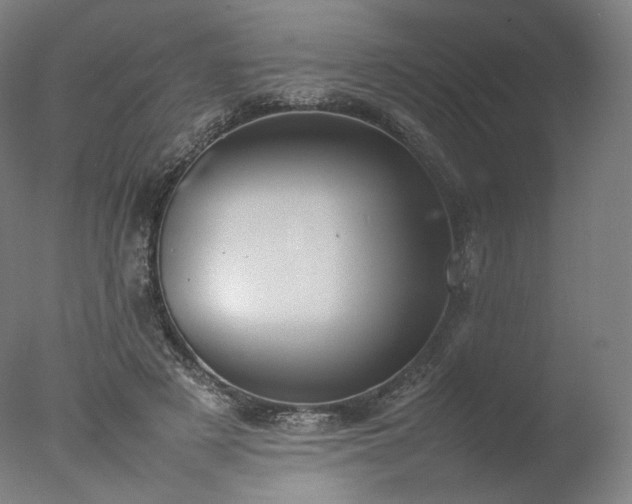 X0000077280497200610271502