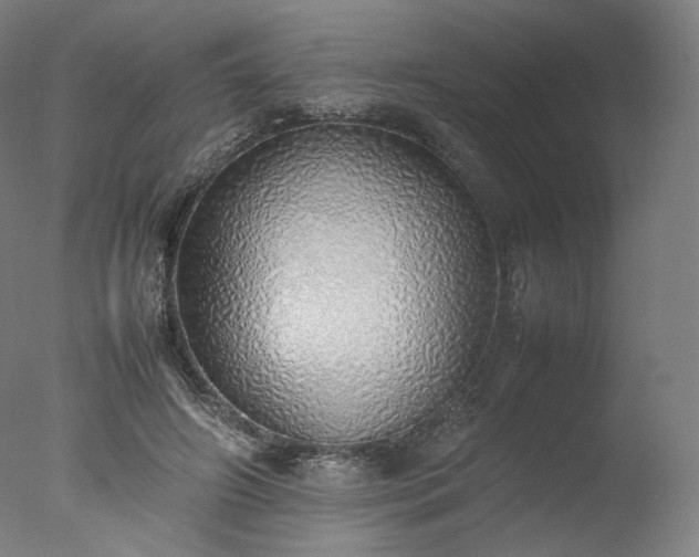 X0000077280498200610271502