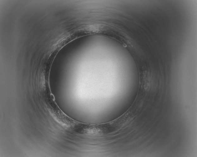 X0000077280500200610271502