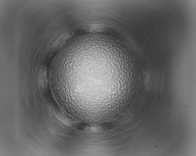X0000077280506200610271502