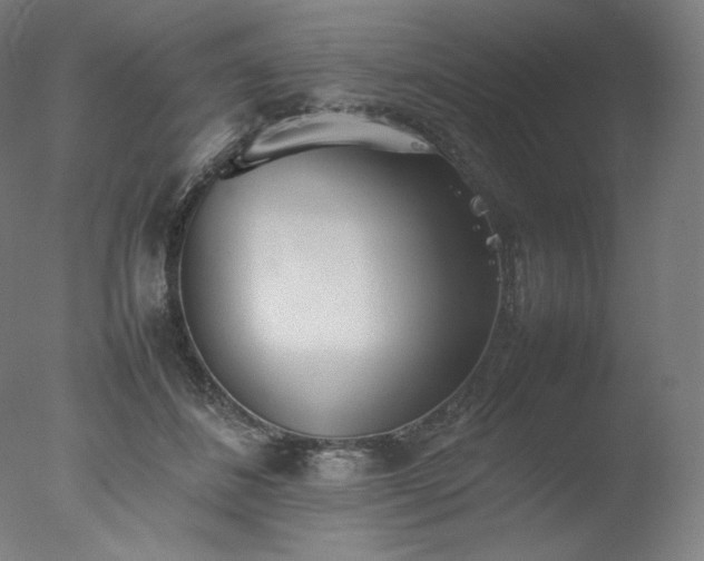 X0000077280508200610271502