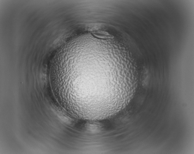 X0000077280510200610271502