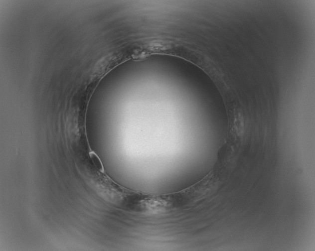 X0000077280512200610271502