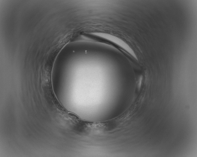 X0000077280517200610271502