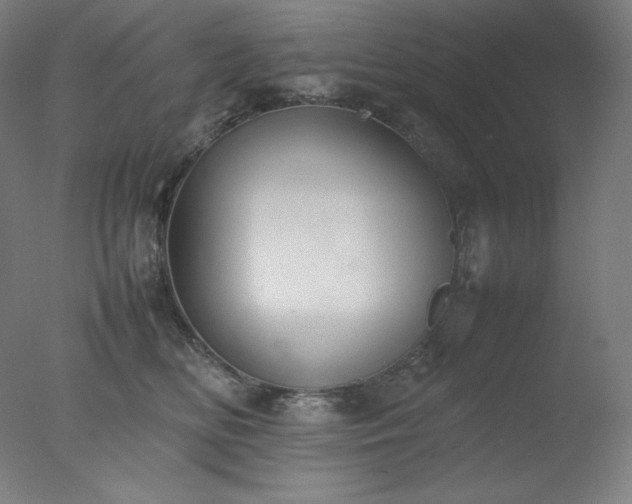 X0000077280518200610271502