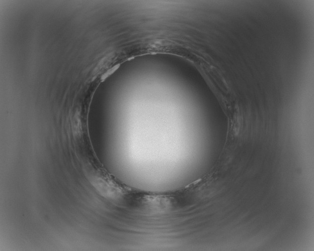 X0000077280520200610271502