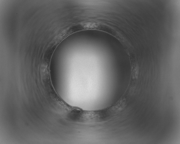 X0000077280521200610271502