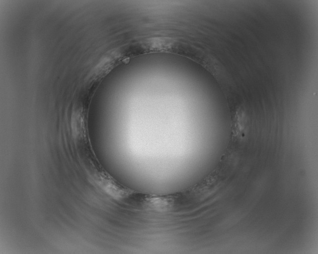 X0000077280522200610271502