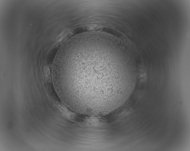 X0000077280523200610271502