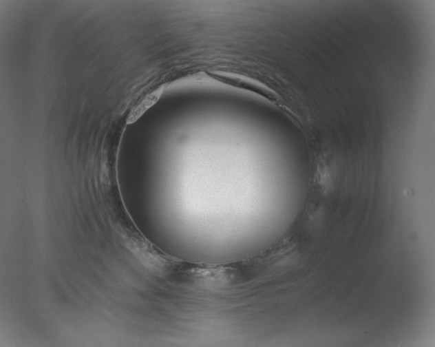 X0000077280524200610271502