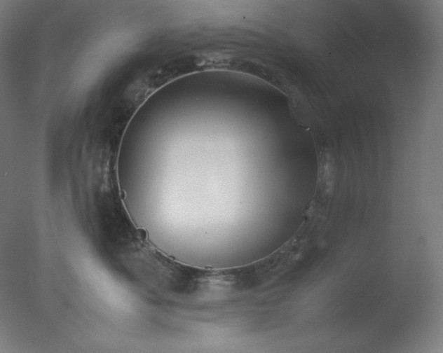 X0000077280525200610271502