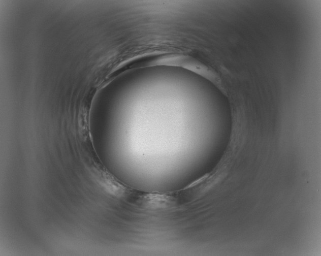 X0000077280528200610271502