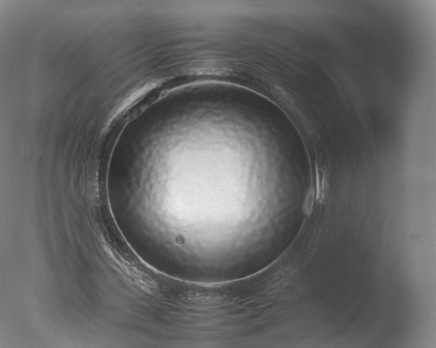 X0000077280531200610271501