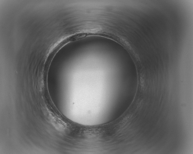 X0000077280532200610271501