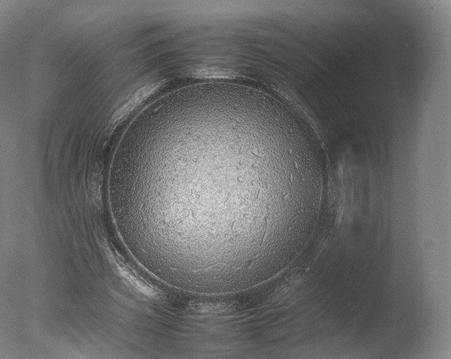 X0000077280533200610271501
