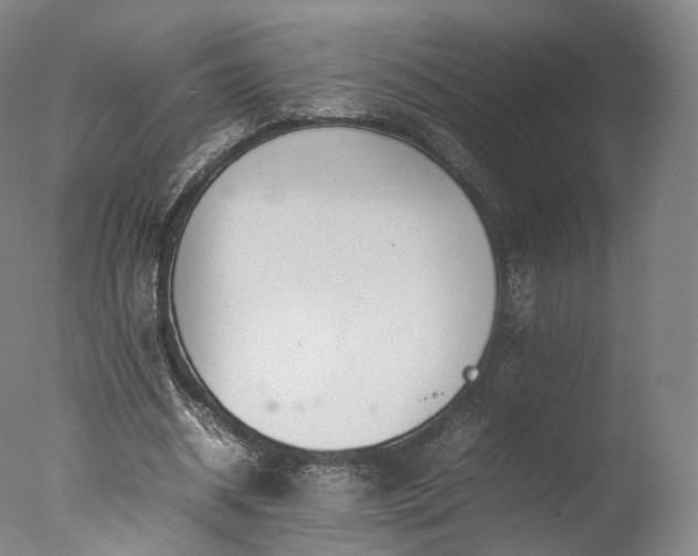 X0000077280534200610271501