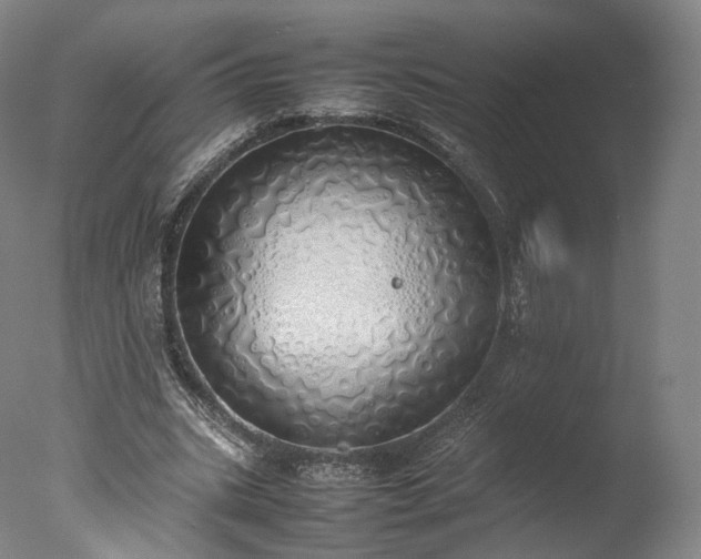 X0000077280535200610271501