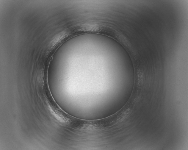 X0000077280538200610271501